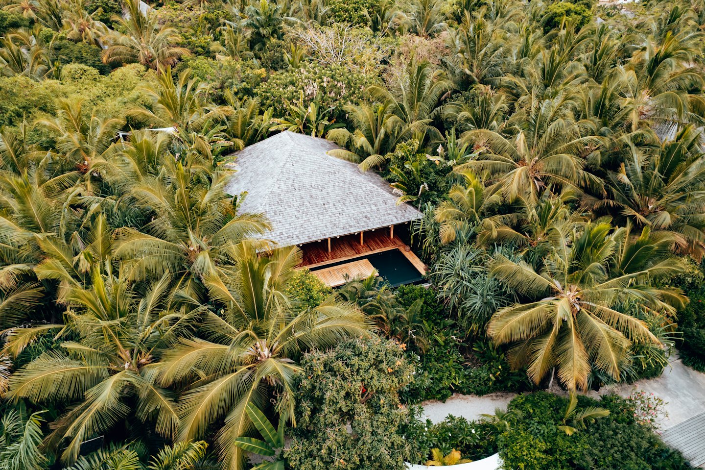 Tropical villa with a dark pool hidden in dense palm trees.